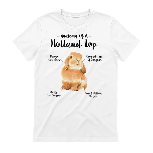 Anatomy of a holland lop
