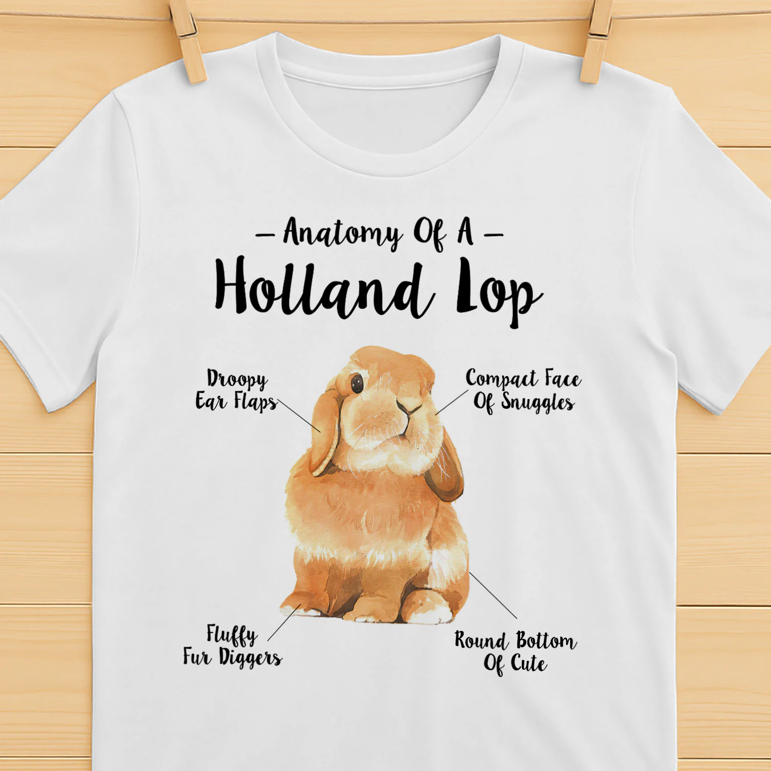 Anatomy of a holland lop