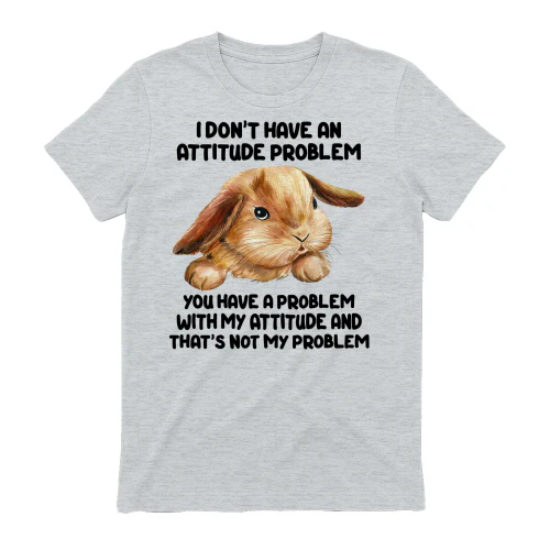 I don't have an attitude problem
