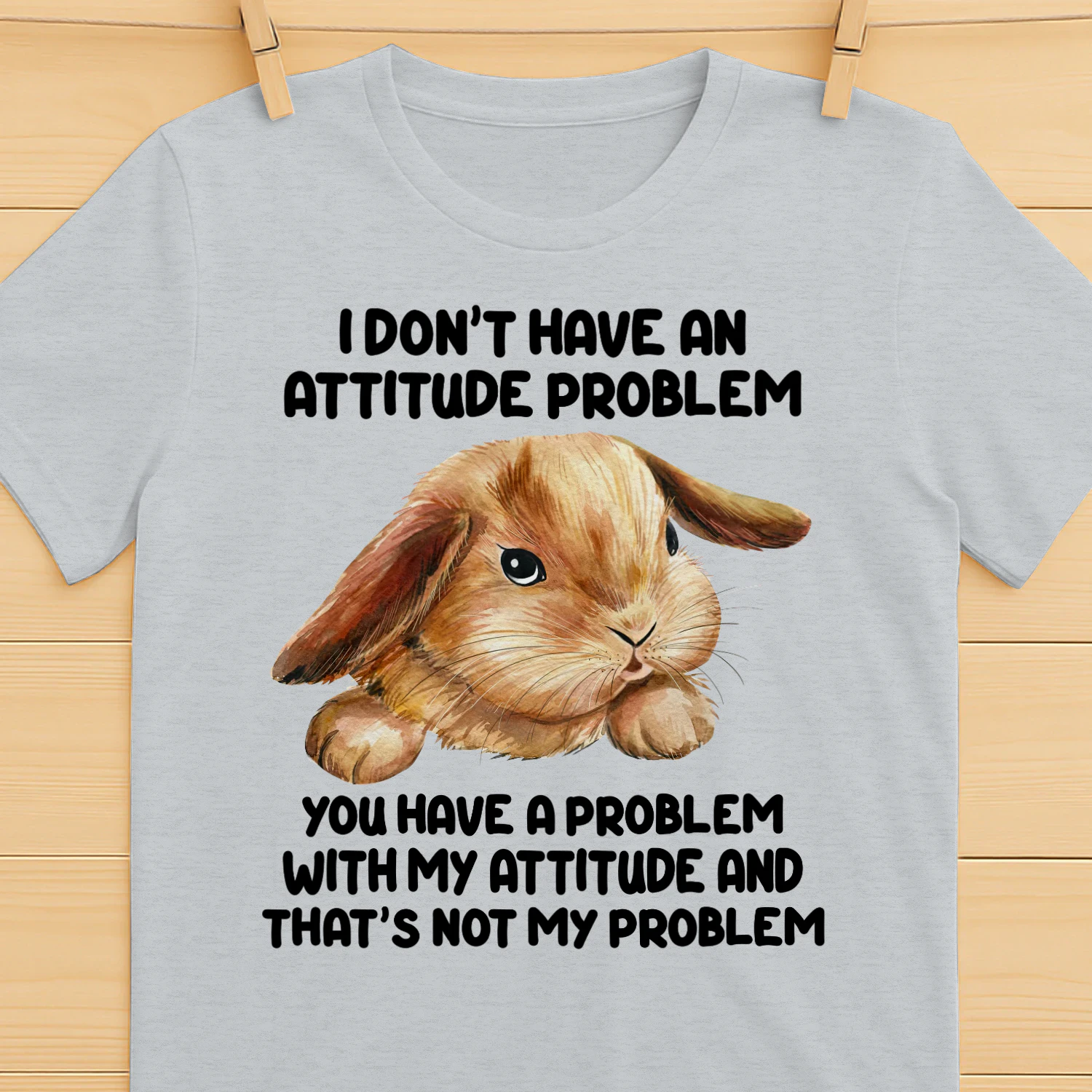 I don't have an attitude problem
