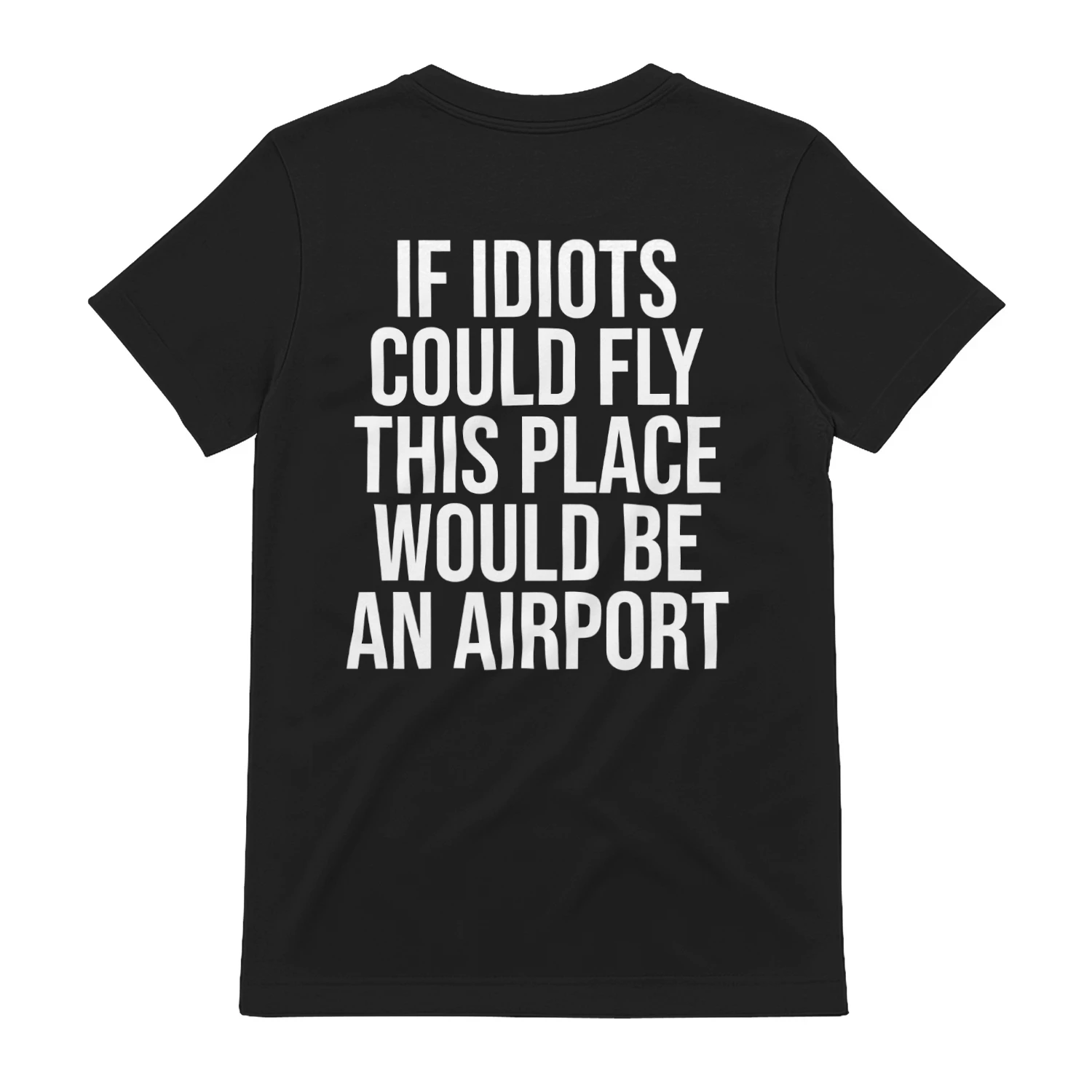 if idiots could fly