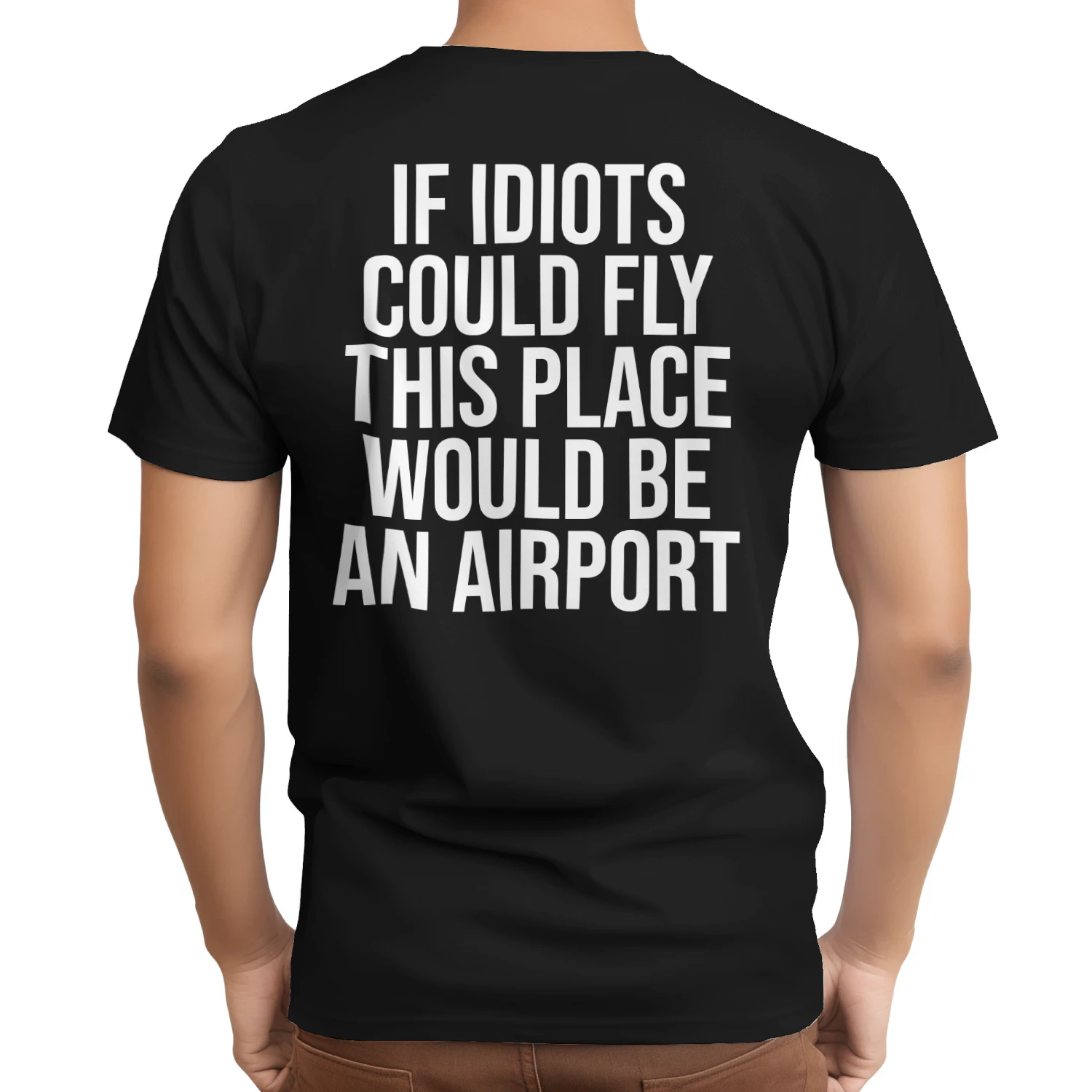 if idiots could fly