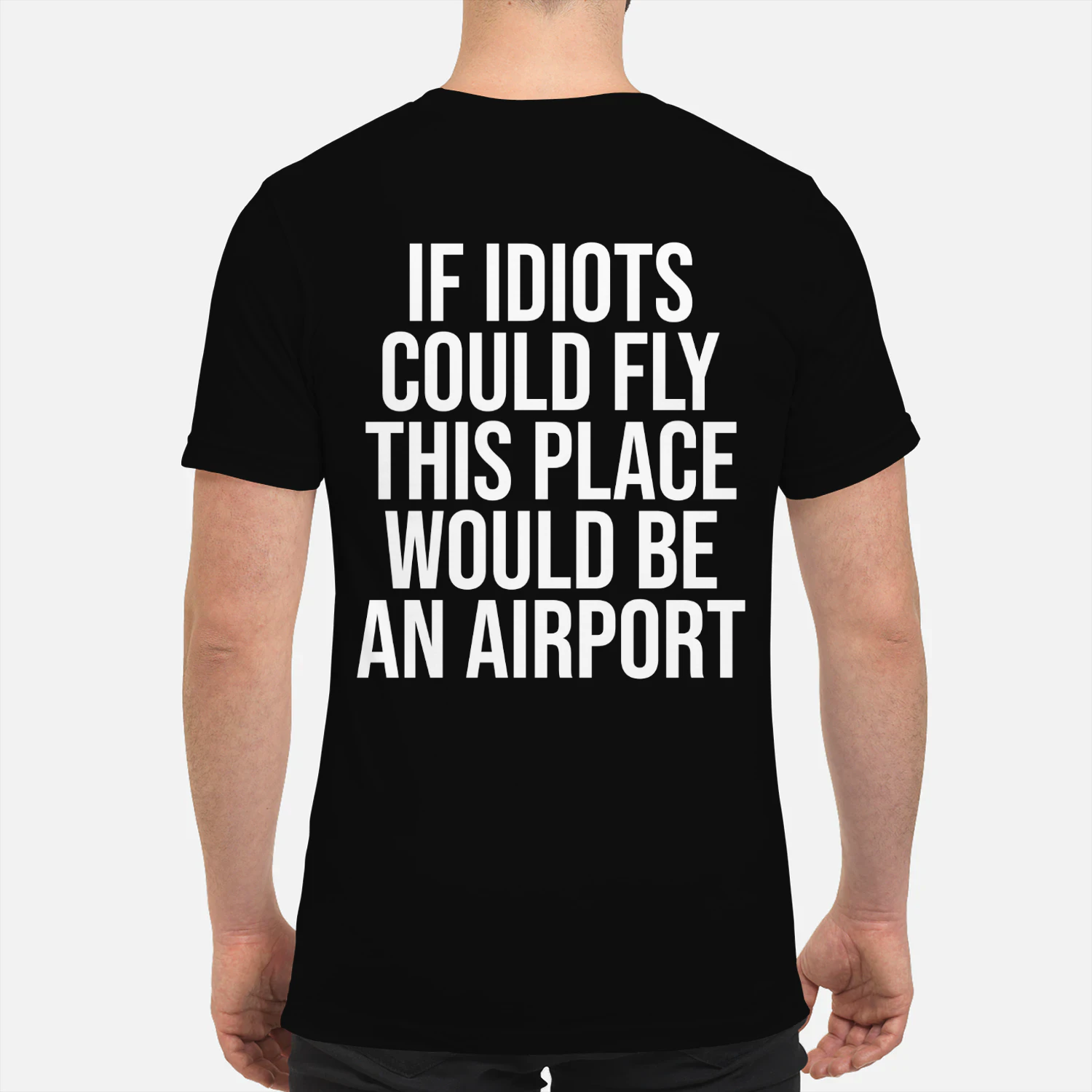 if idiots could fly