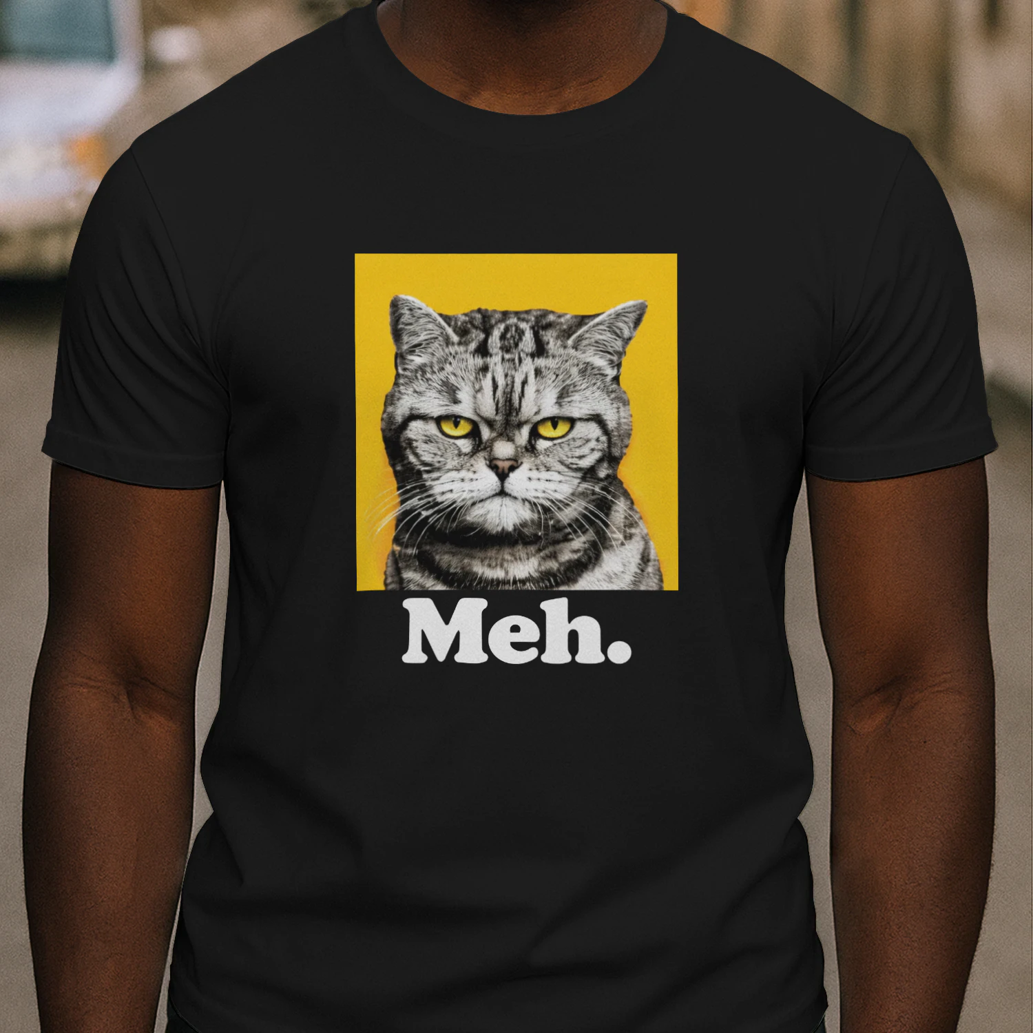 90 Day The Single Life Meh Cat Shirt