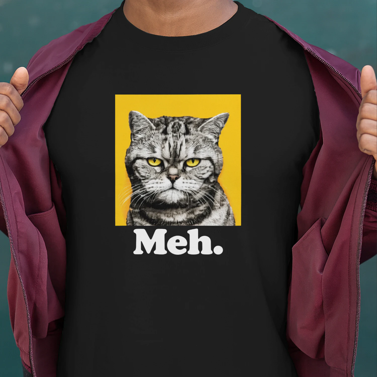 90 Day The Single Life Meh Cat Shirt