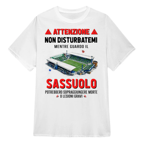 Attenzione Non Disturbarmi Sassuolo