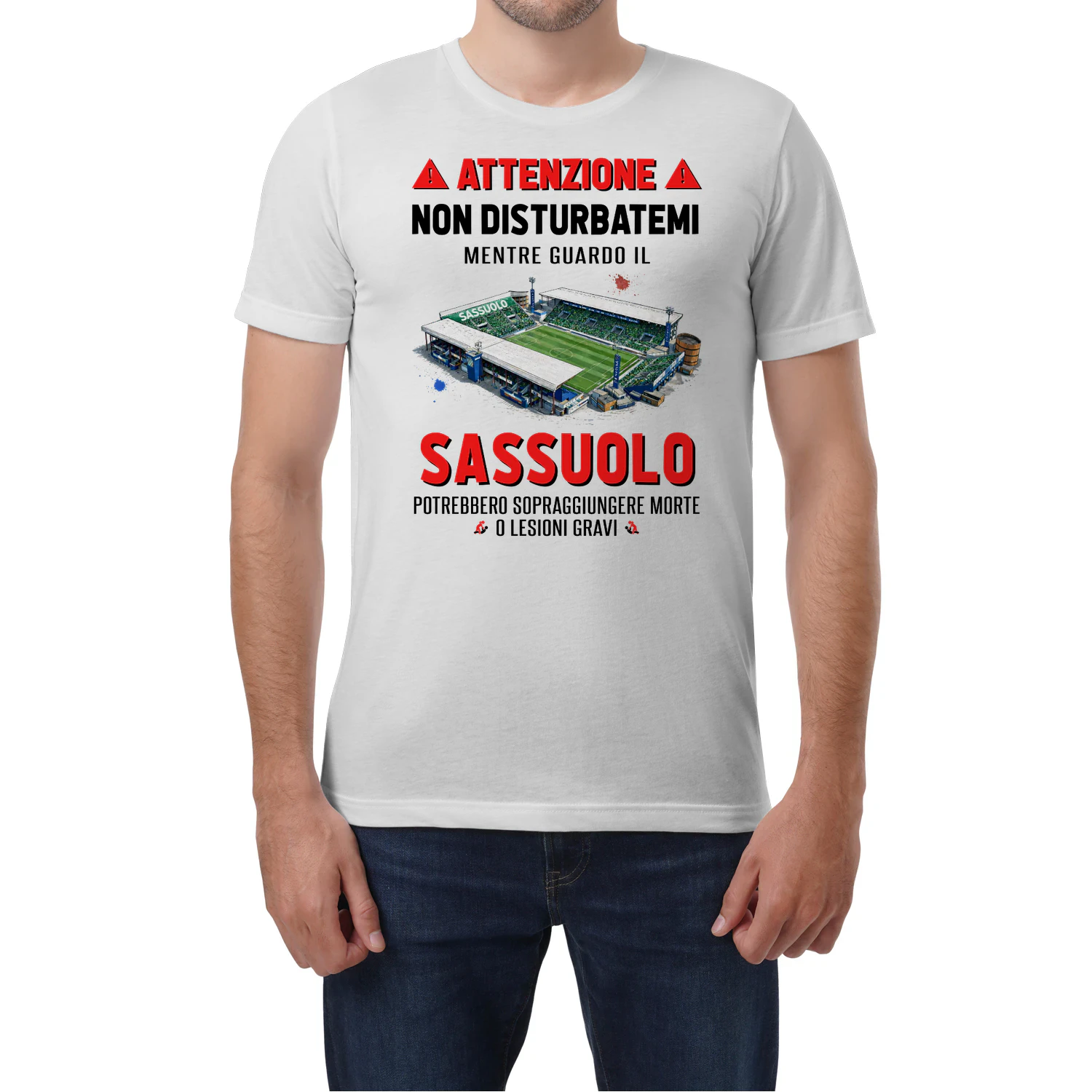 Attenzione Non Disturbarmi Sassuolo