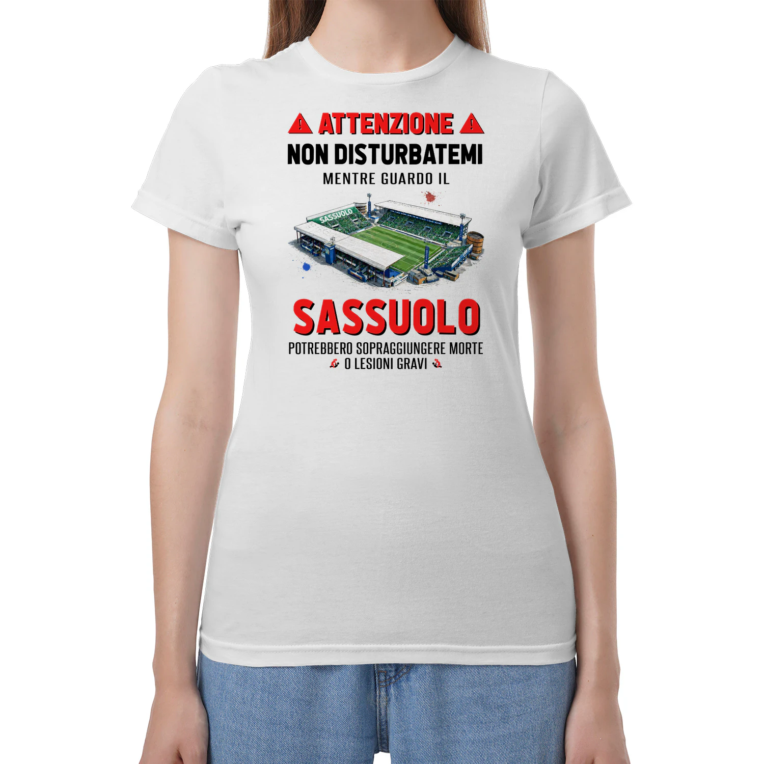 Attenzione Non Disturbarmi Sassuolo
