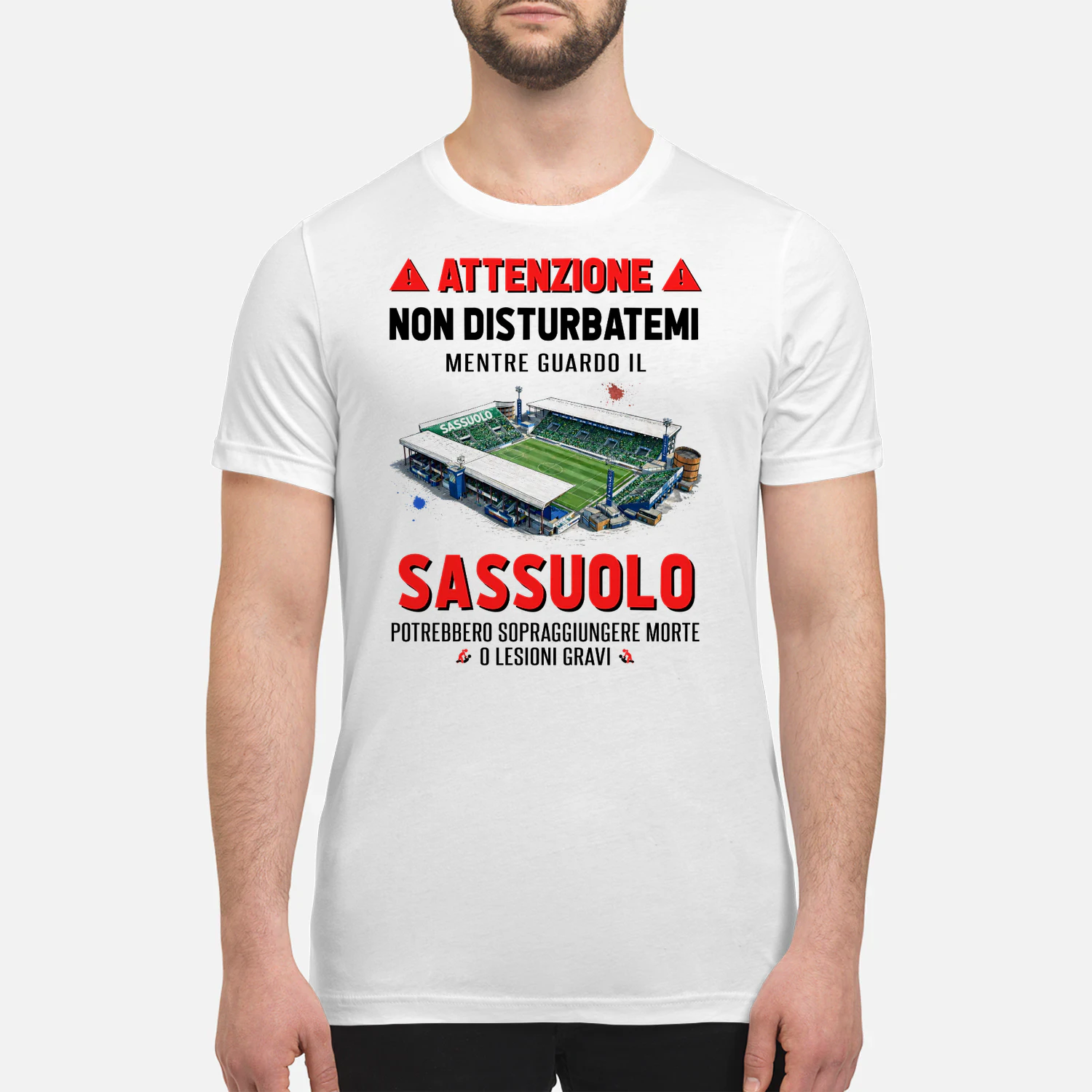 Attenzione Non Disturbarmi Sassuolo