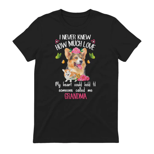 Corgi Grandma