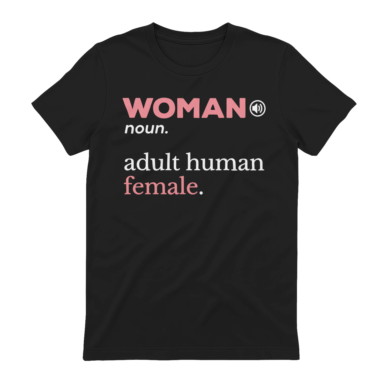 WOMAN noun adult human female." Dictionary Definition T-Shirt – Feminism Graphic Tee