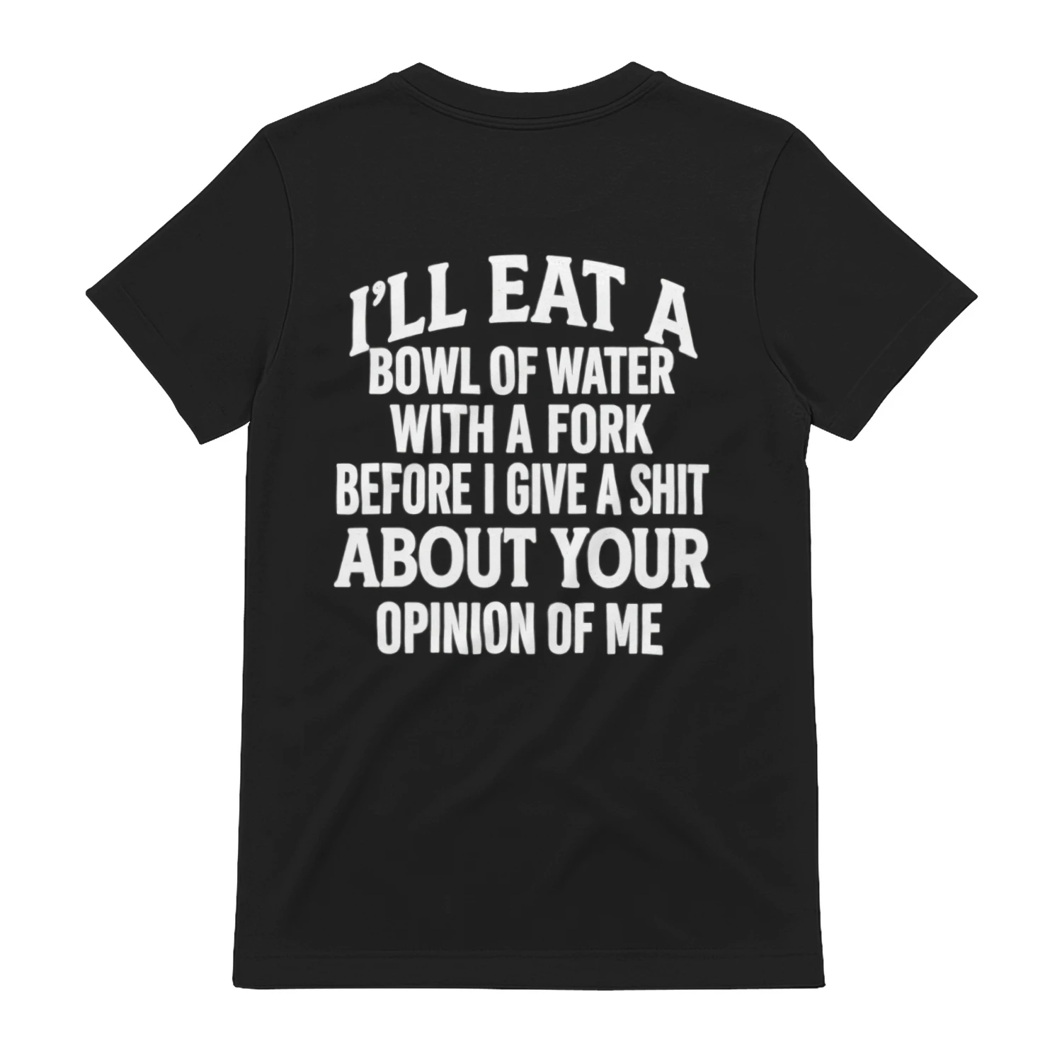 Sarcastic Humor T-Shirt