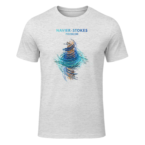 Navier-Stokes Problem Unisex T-shirt