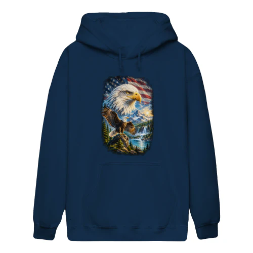 American Eagle hoodie