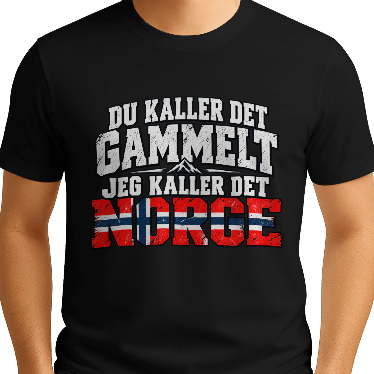 NO - DU KALLER DET GAMMELT  JEG KALLER DET NORGE
