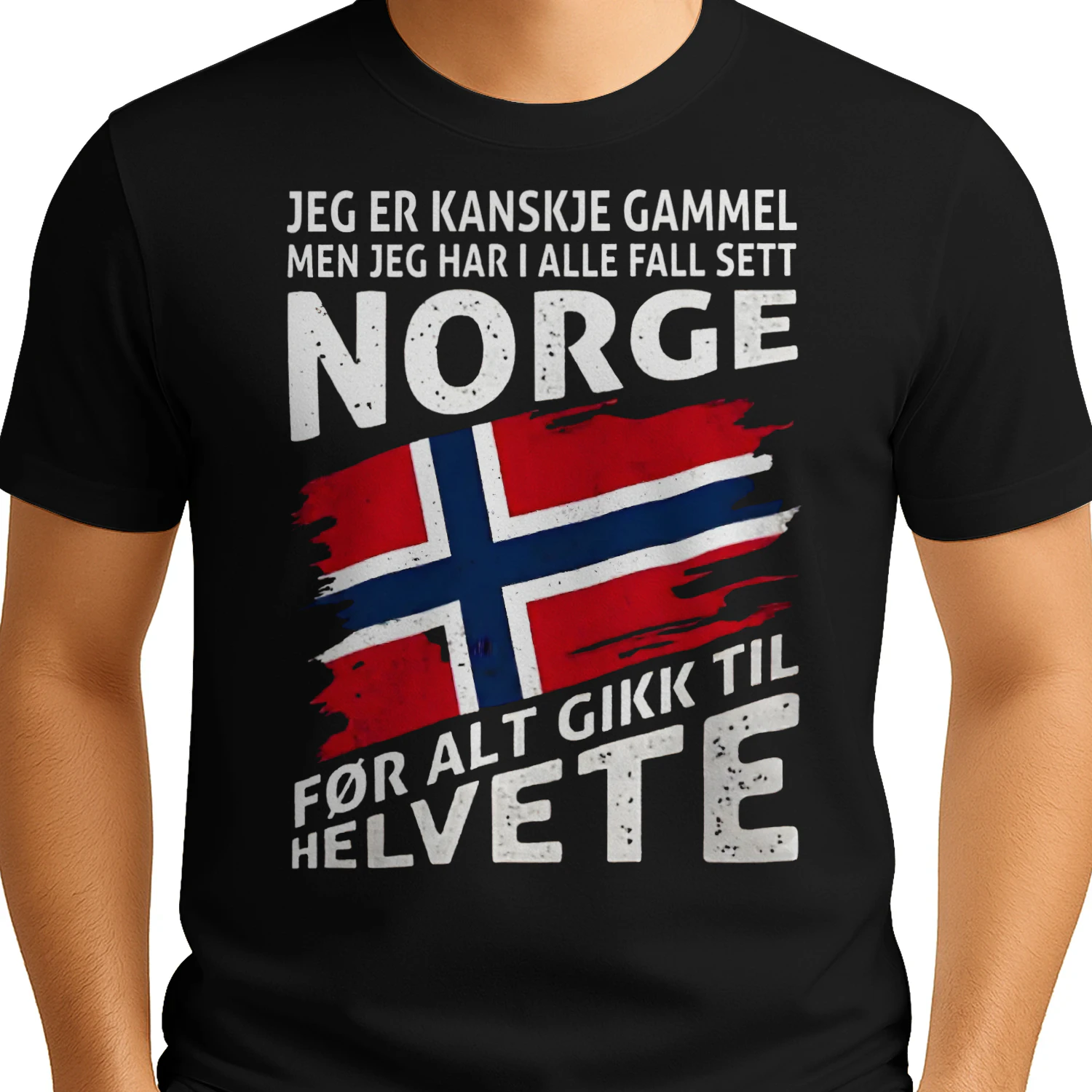 JEG ER KANSKJE GAMMEL   MEN JEG HAR I DET MINSTE SETT NORGE   FØR DET GIKK TIL HELVETE