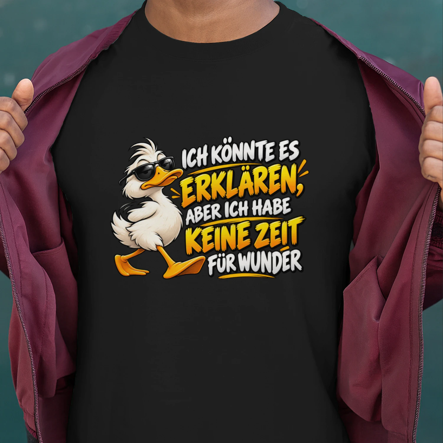 DE - ICH KÖNNTE ES ERKLÄREN, ABER ICH HABE KEINE ZEIT FÜR WUNDER