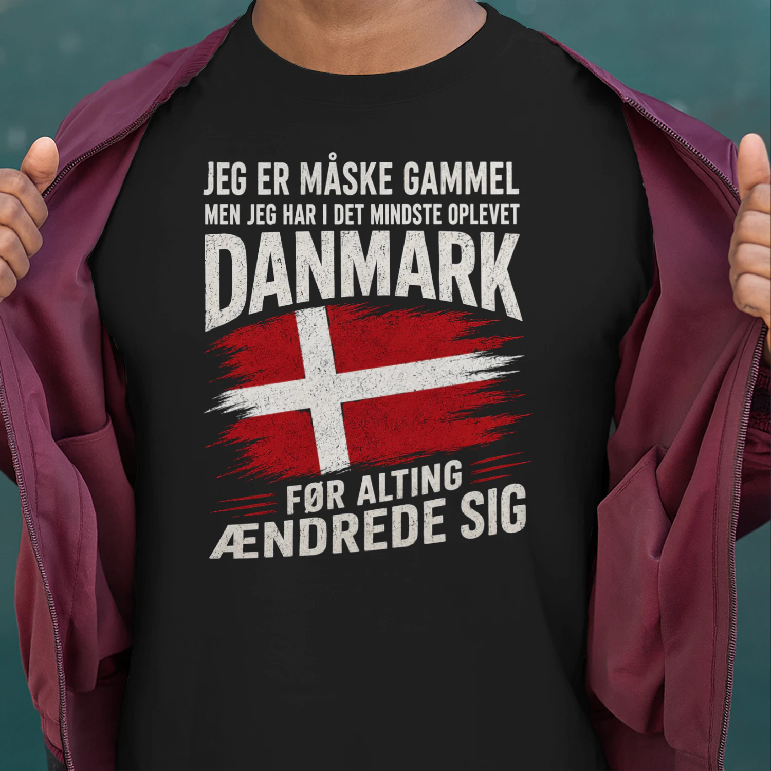 JEG ER MÅSKE GAMMEL MEN JEG HAR I DET MINDSTE OPLEVET DANMARK FØR ALTING ÆNDREDE SIG