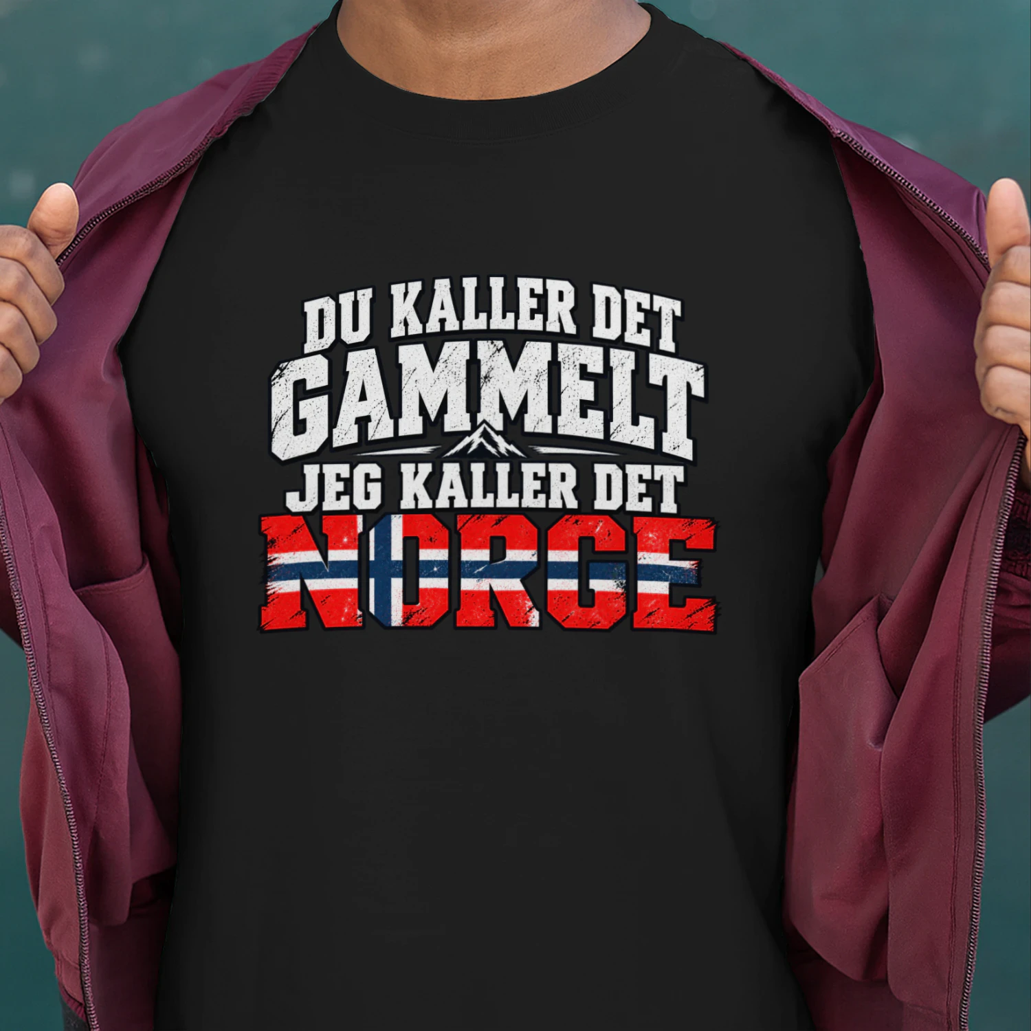 NO - DU KALLER DET GAMMELT  JEG KALLER DET NORGE