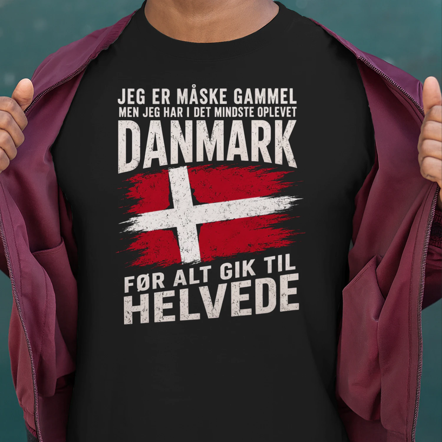 JEG ER MÅSKE GAMMEL MEN JEG HAR I DET MINDSTE OPLEVET DANMARK FØR ALT GIK TIL HELVEDE
