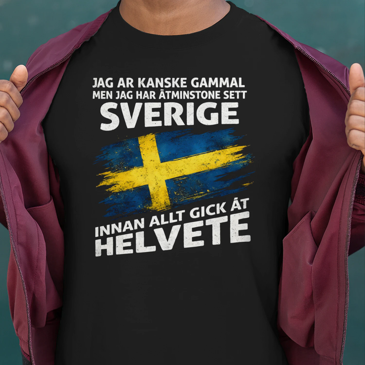 JAG ÄR KANSKE GAMMAL MEN JAG HAR ÅTMINSTONE SETT SVERIGE INNAN ALLT GICK ÅT HELVETE