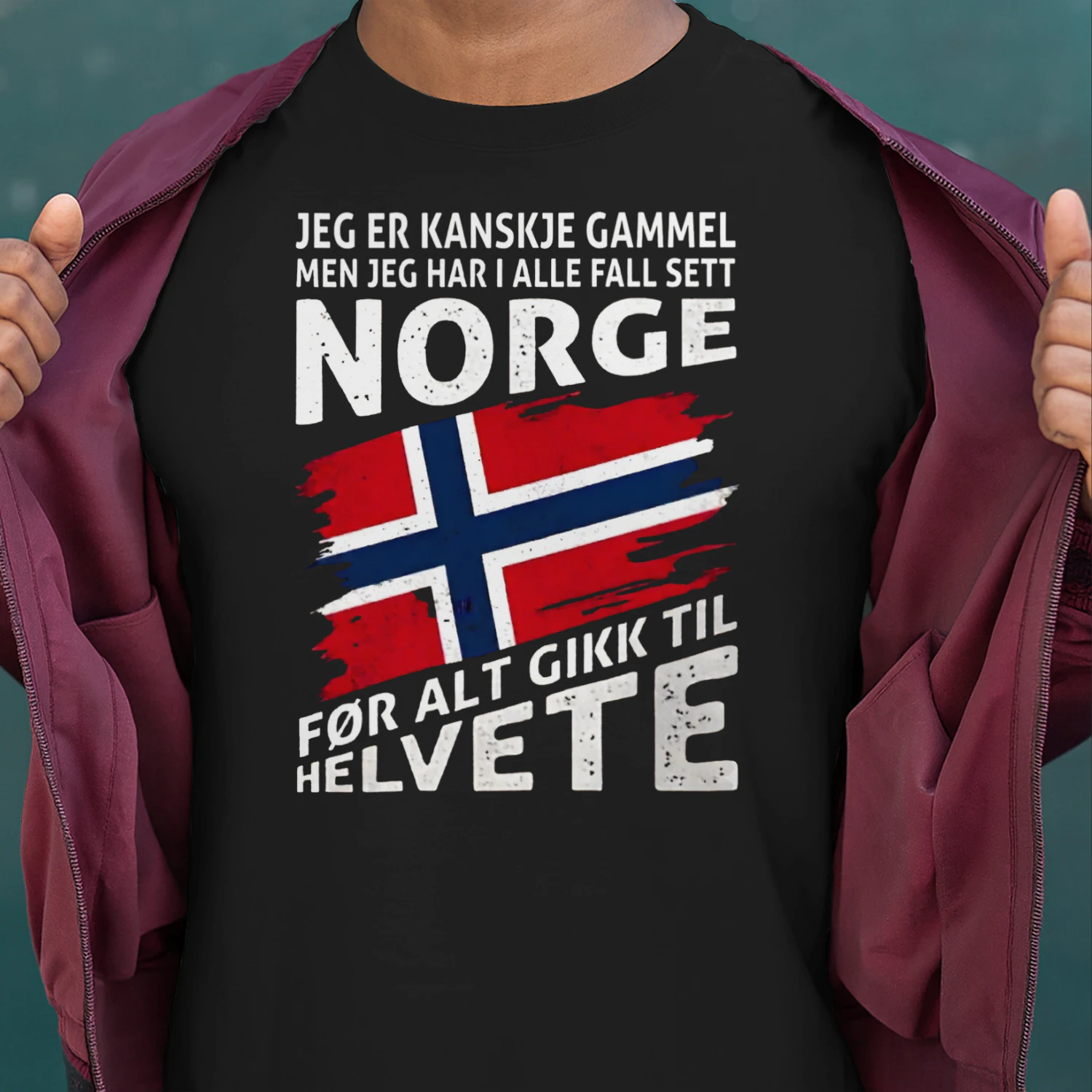 JEG ER KANSKJE GAMMEL   MEN JEG HAR I DET MINSTE SETT NORGE   FØR DET GIKK TIL HELVETE
