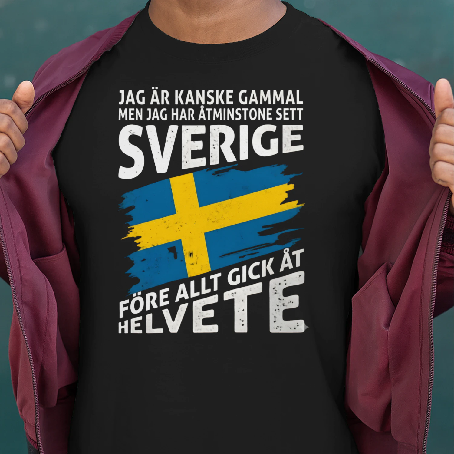 JAG ÄR KANSKE GAMMAL MEN JAG HAR ÅTMINSTONE SETT SVERIGE FÖRE ALLT GICK ÅT HELVETE