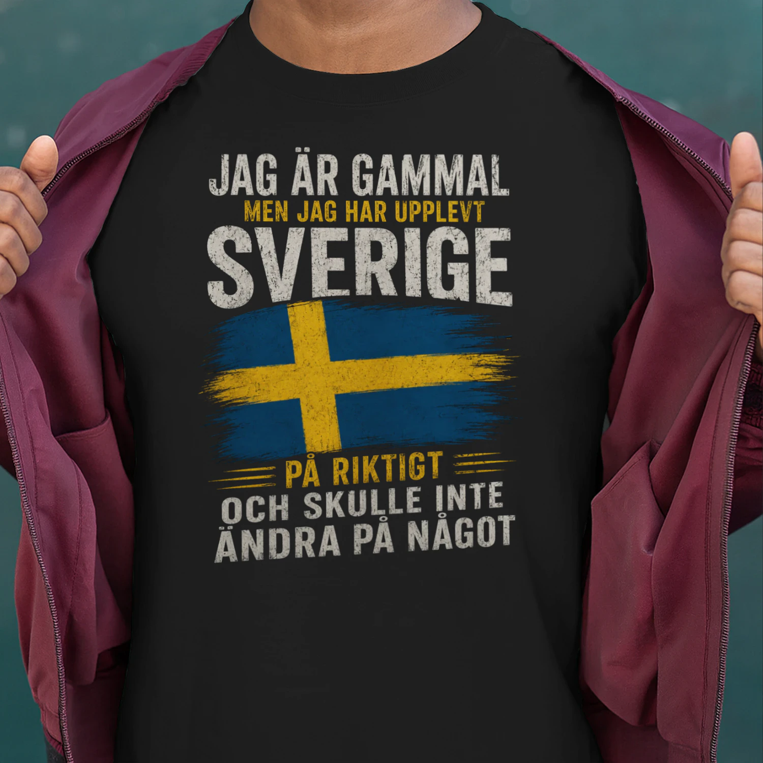 JAG ÄR GAMMAL MEN JAG HAR UPPLEVT SVERIGE PÅ RIKTIGT OCH SKULLE INTE ÄNDRA PÅ NÅGOT