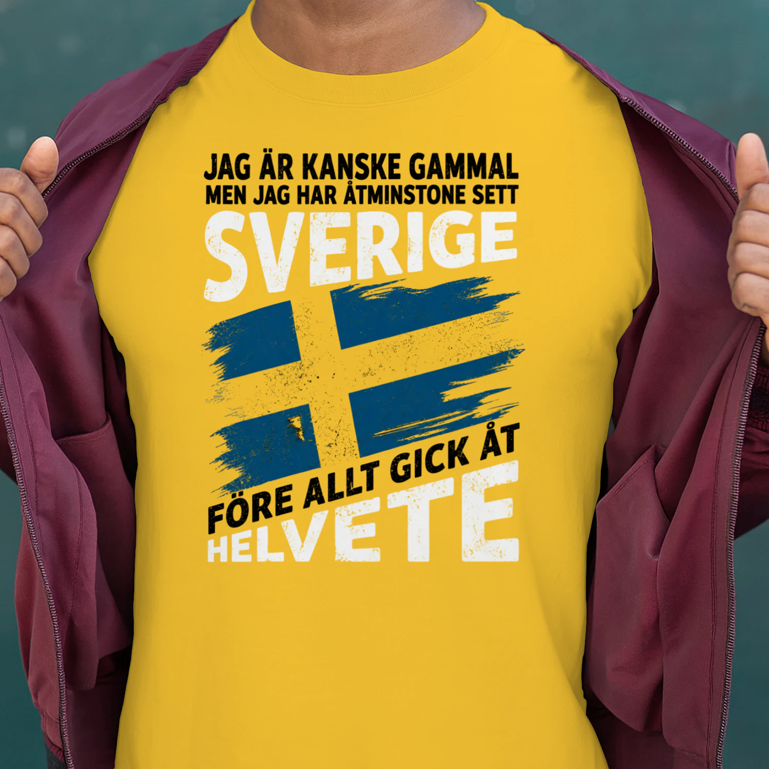 JAG ÄR KANSKE GAMMAL MEN JAG HAR ÅTMINSTONE SETT SVERIGE FÖRE ALLT GICK ÅT HELVETE