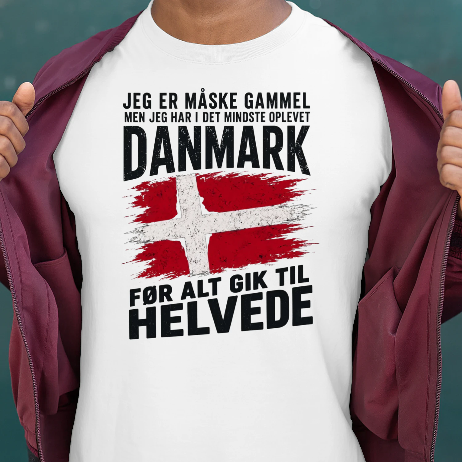 JEG ER MÅSKE GAMMEL MEN JEG HAR I DET MINDSTE OPLEVET DANMARK FØR ALT GIK TIL HELVEDE