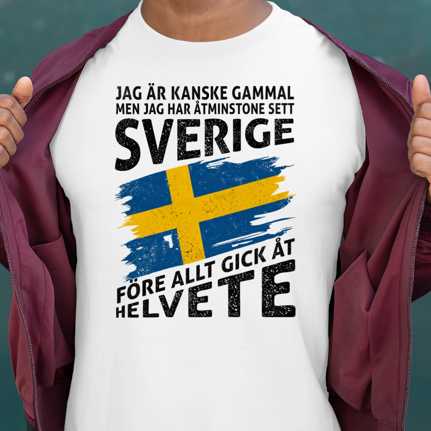 JAG ÄR KANSKE GAMMAL MEN JAG HAR ÅTMINSTONE SETT SVERIGE FÖRE ALLT GICK ÅT HELVETE