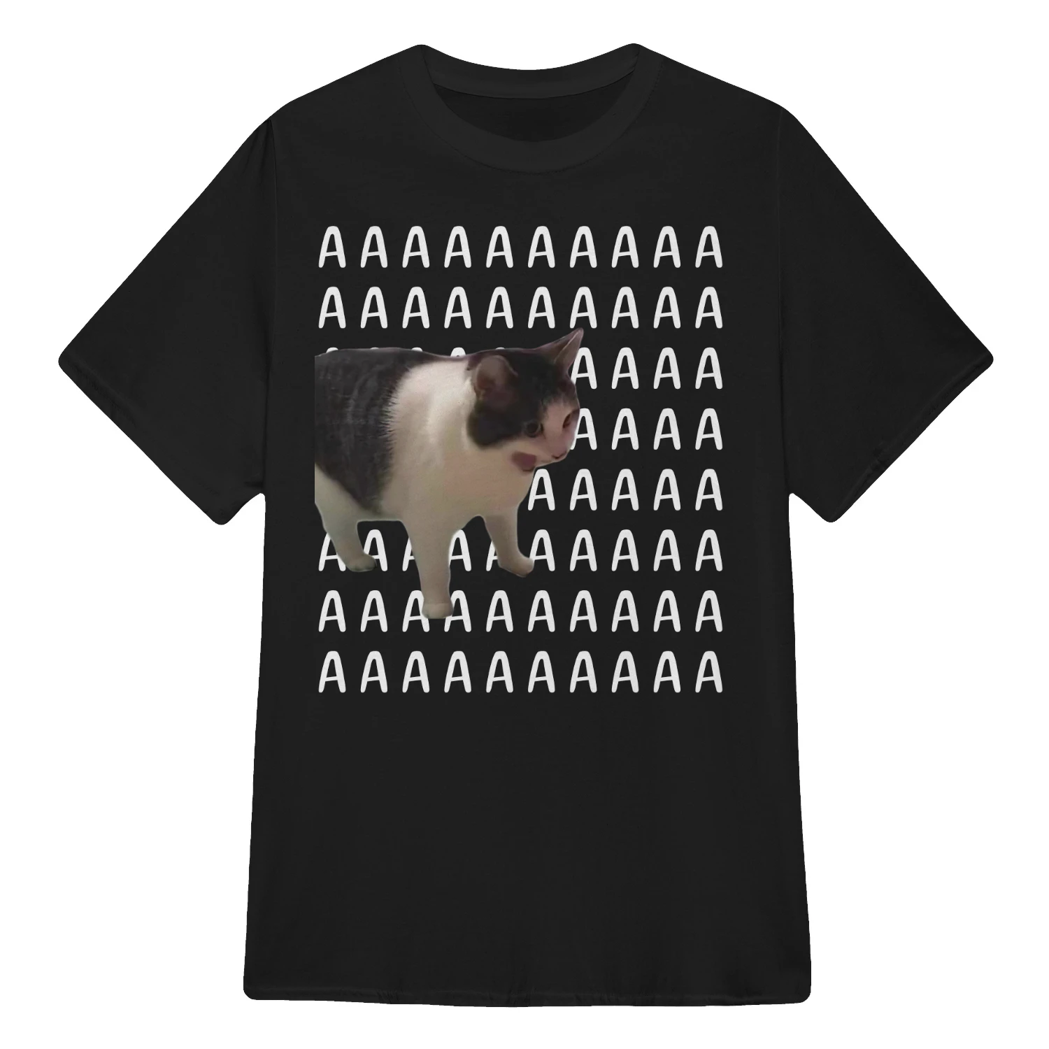 AAAA Cat