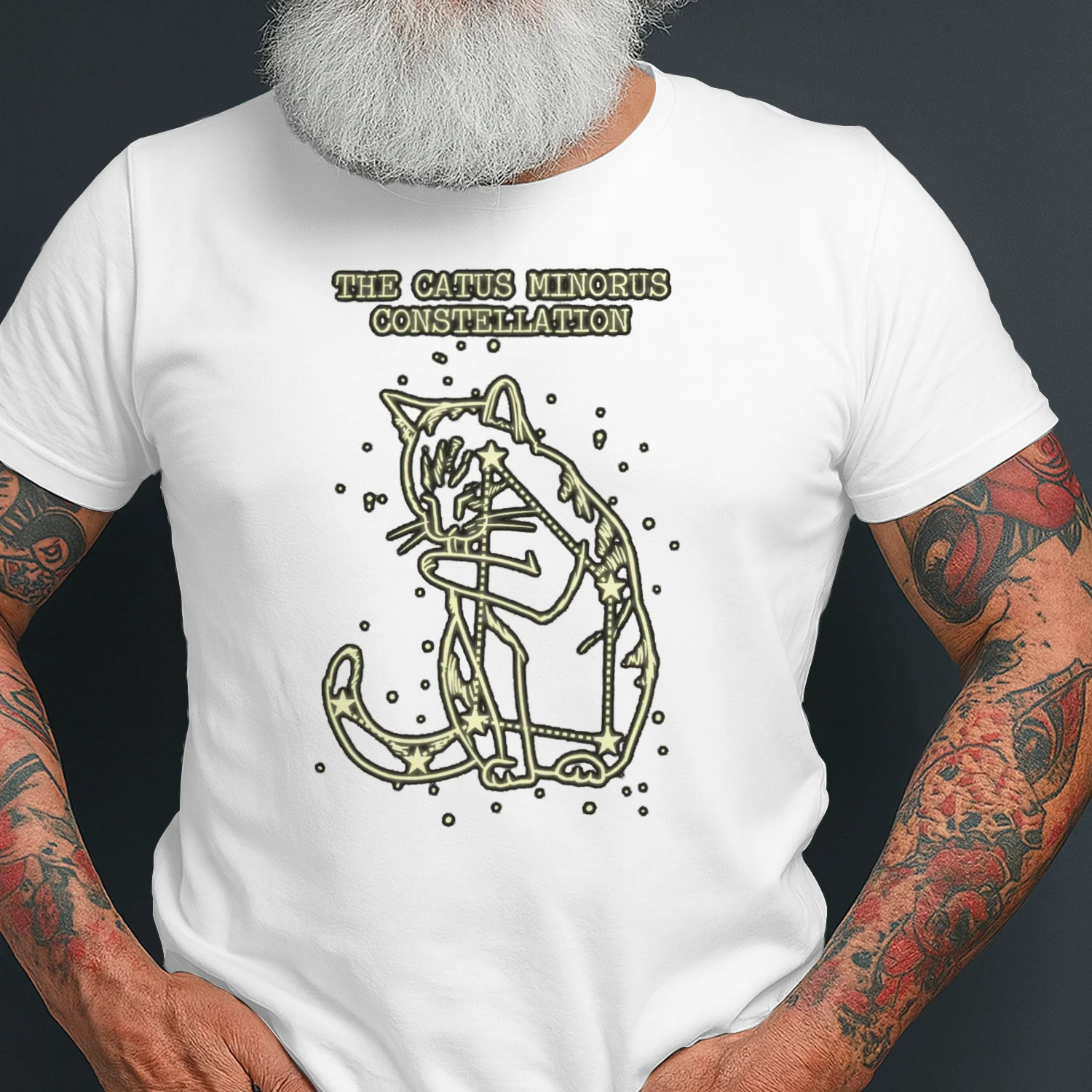 Catus Minorus Constellation