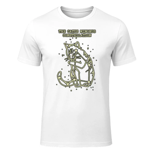 Catus Minorus Constellation