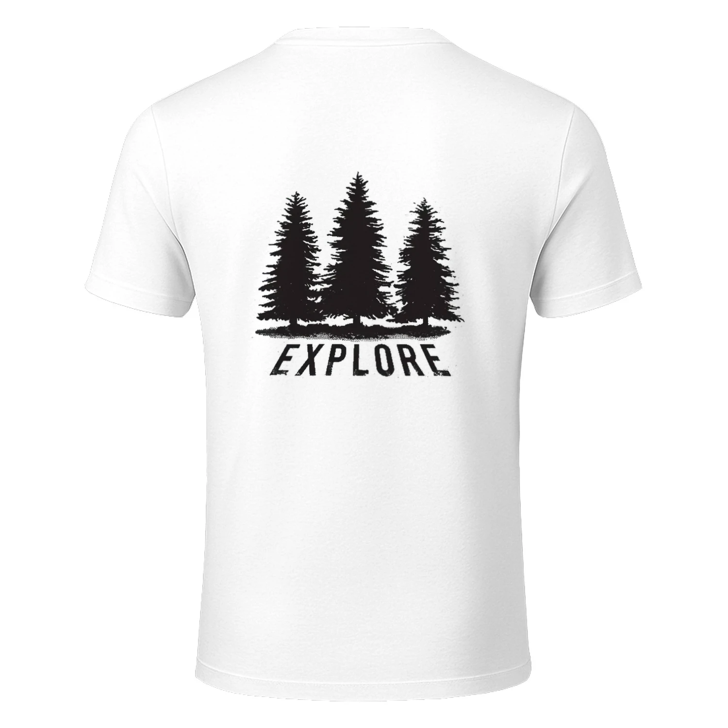 Explore Pine Forests