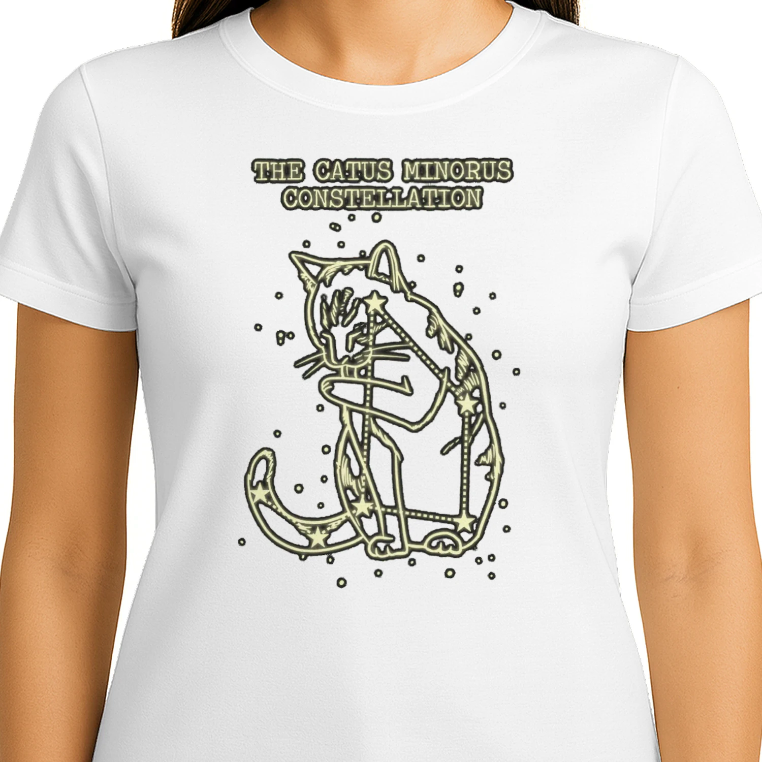 Catus Minorus Constellation