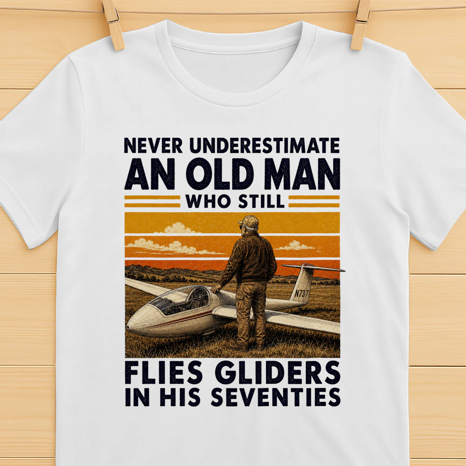 TEU0317 Flies Gliders