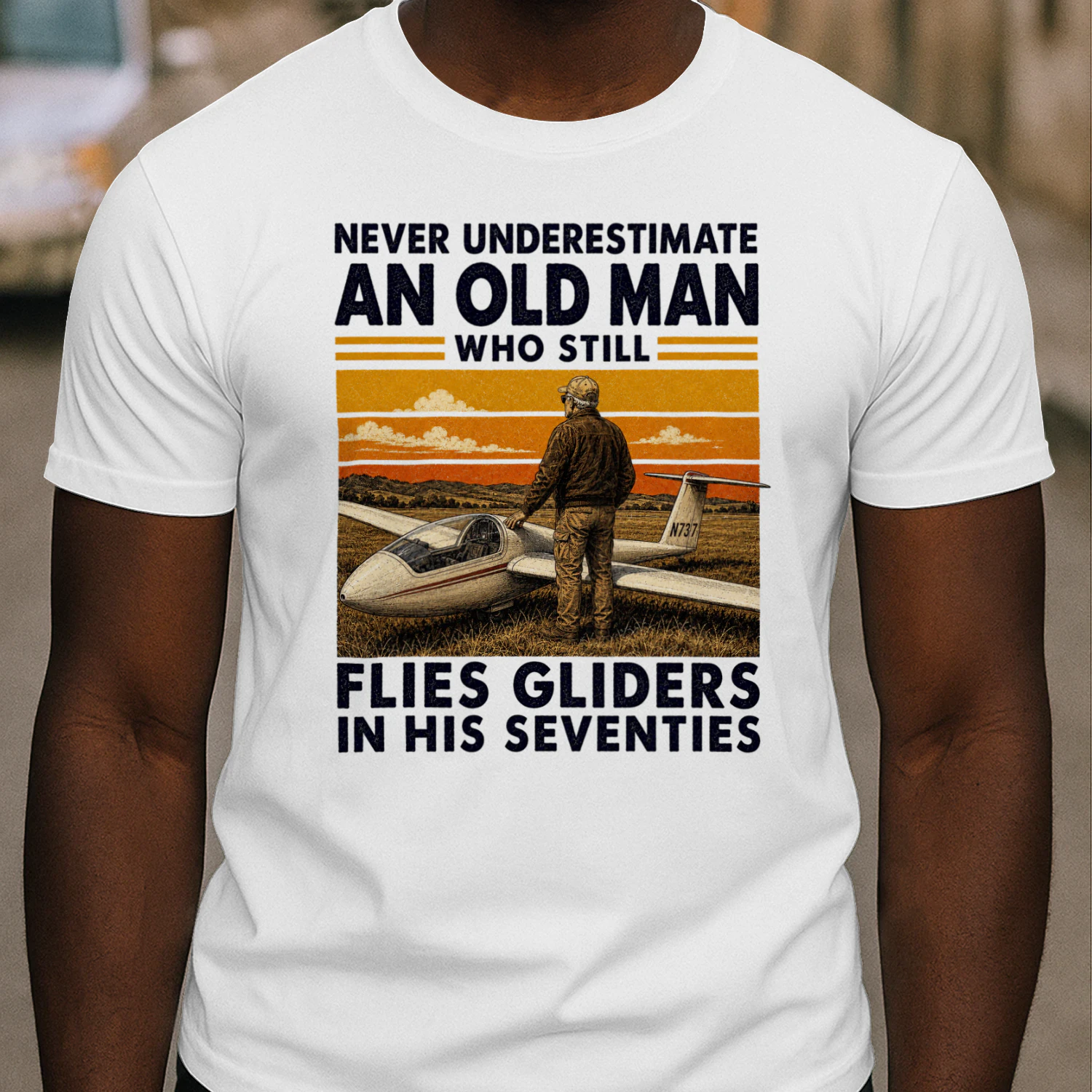 TEU0317 Flies Gliders