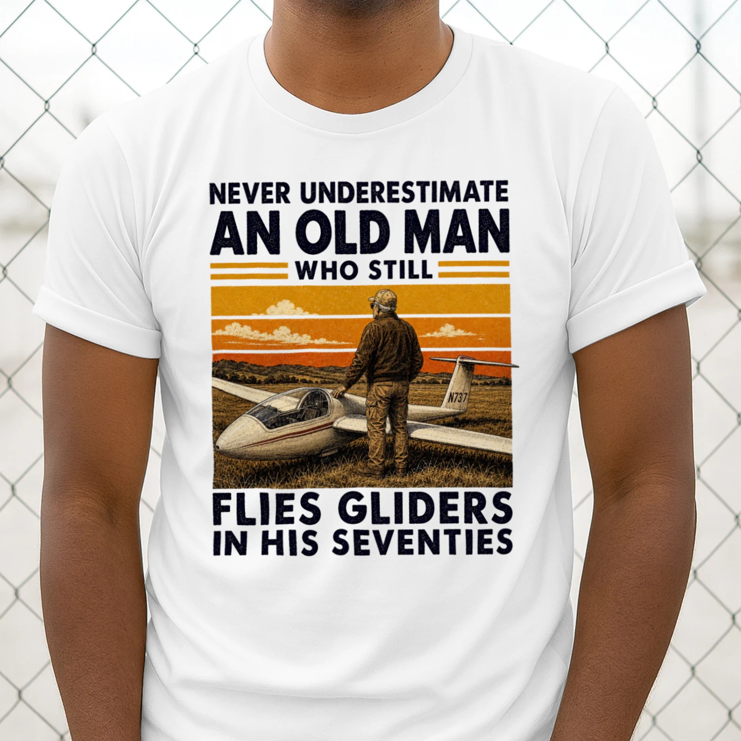 TEU0317 Flies Gliders