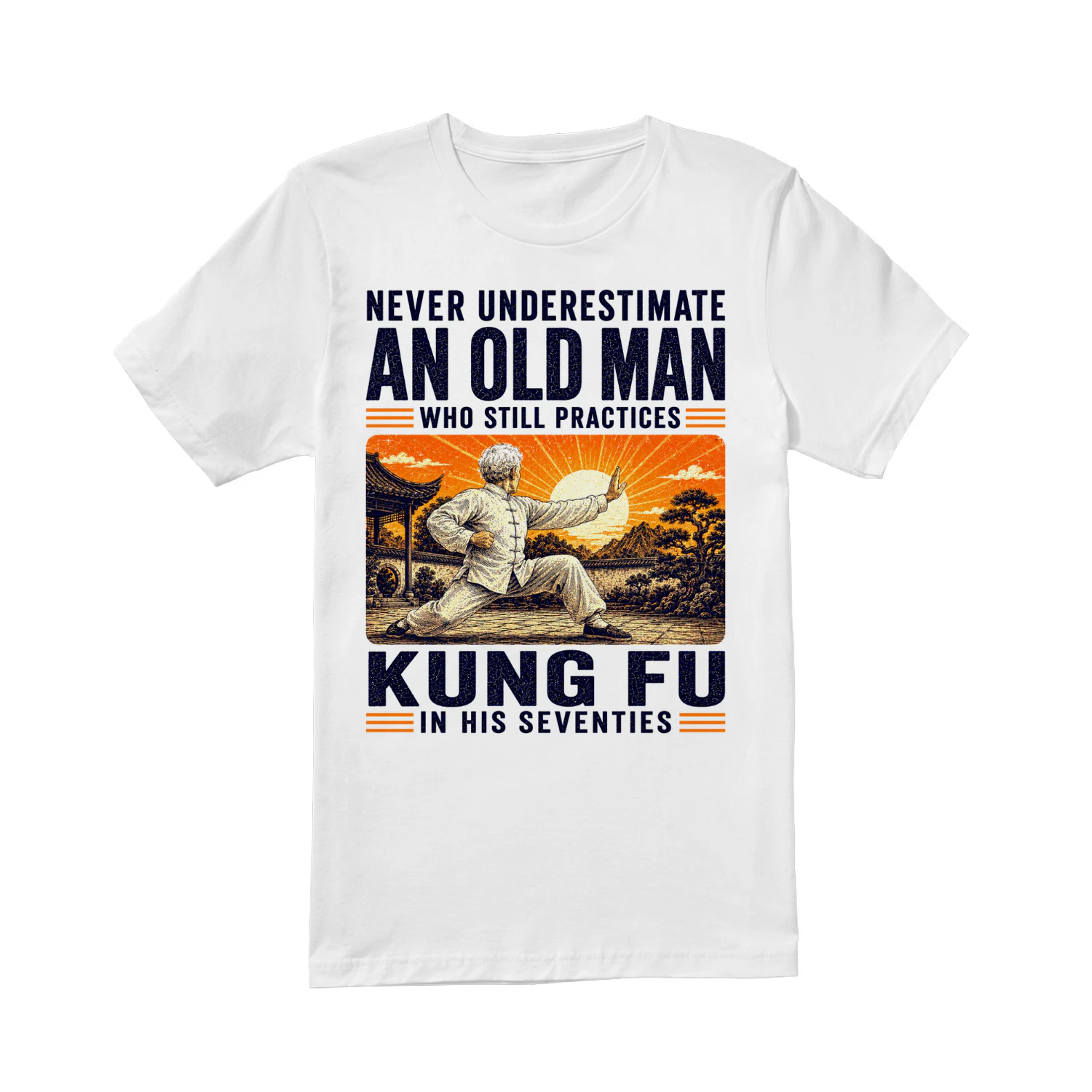 TEU0535 Kung Fu