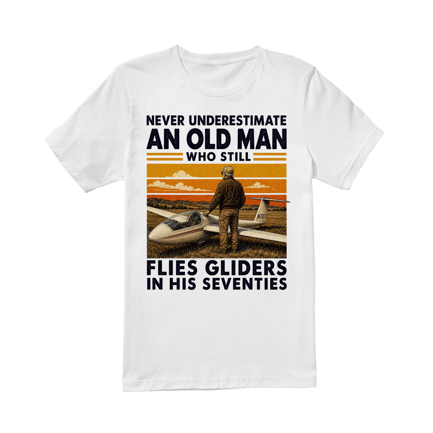 TEU0317 Flies Gliders