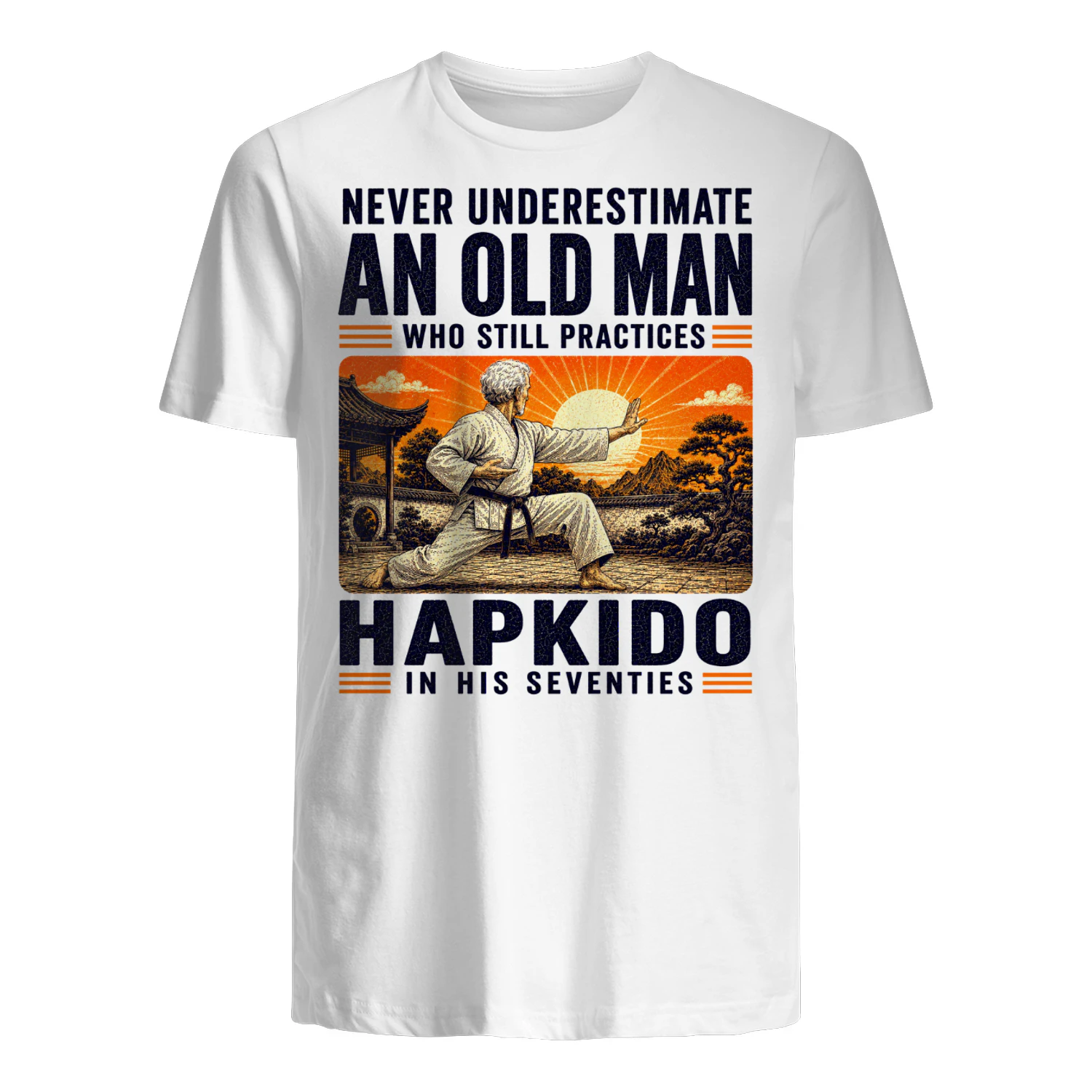 TEU0541 Hapkido