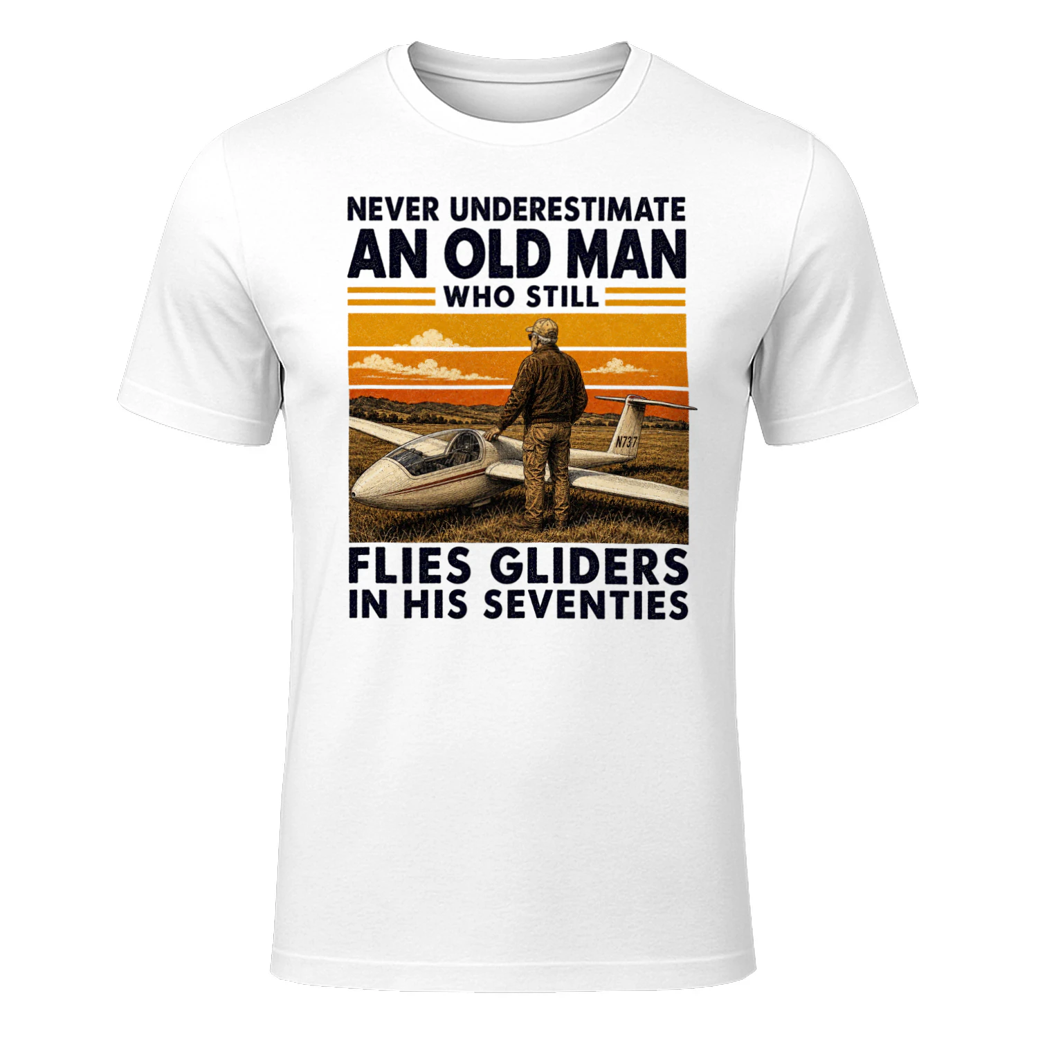 TEU0317 Flies Gliders