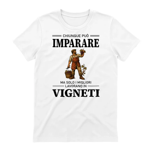 Learn-Vineyard-Worker-04-IT