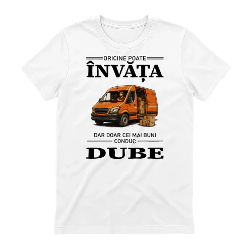 Learn-Van-Driver-04-RO