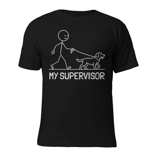 My supervisor