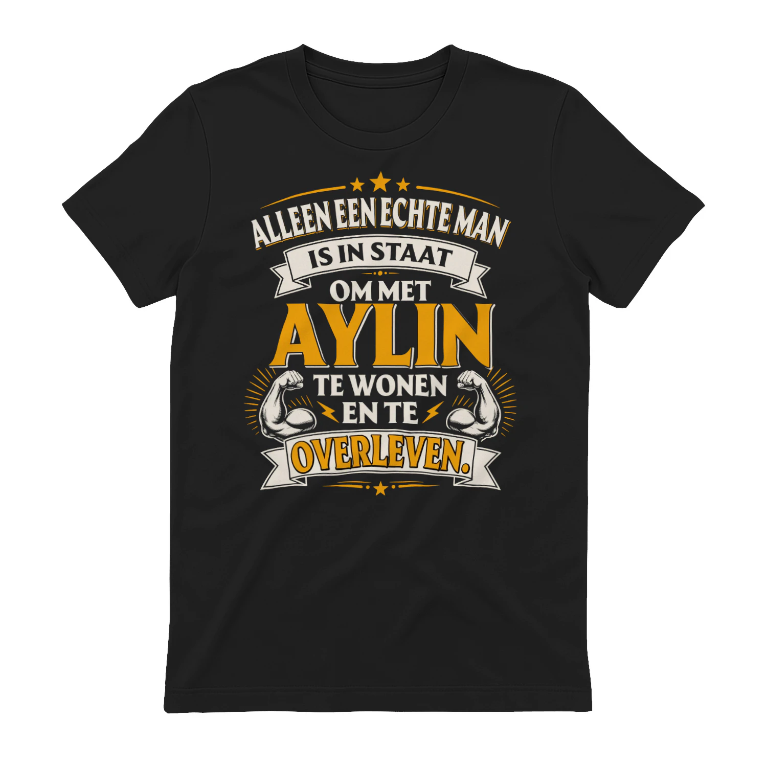 fnnlf0751 Aylin HA12