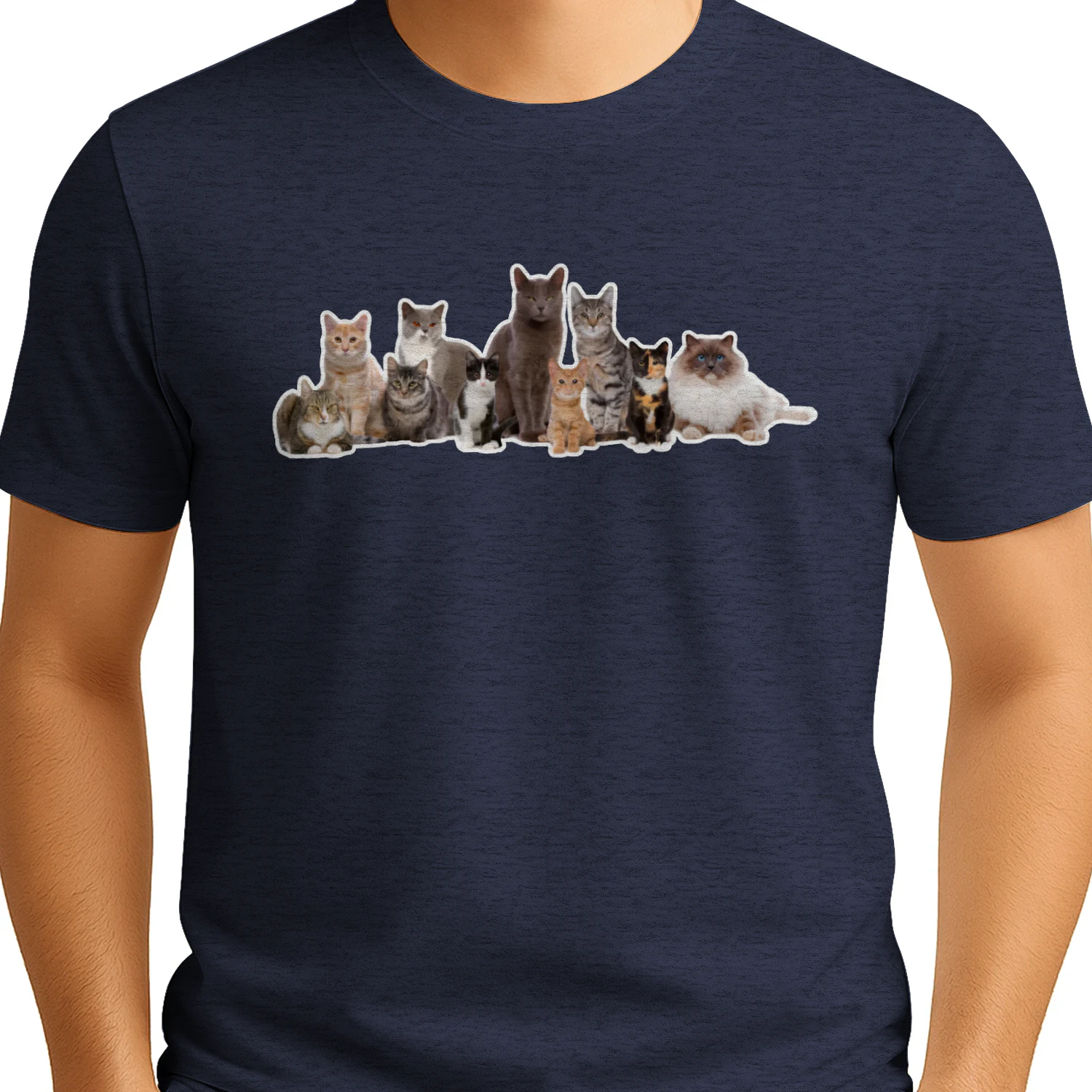 Retro Cat Collage Shirt | Cute Cat Lover Graphic Tee, Jade's Cat Shirt For Pet owners And Animal enthusiasts