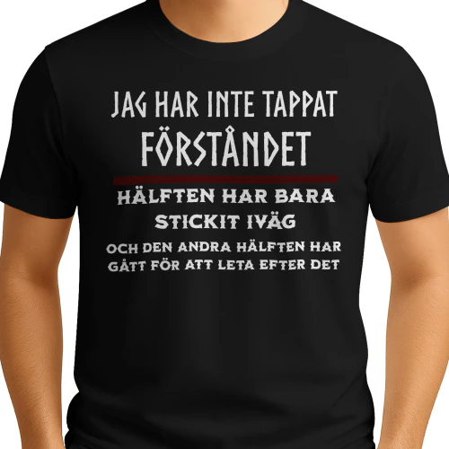JAG HAR INTE TAPPAT FÖRSTÅNDET