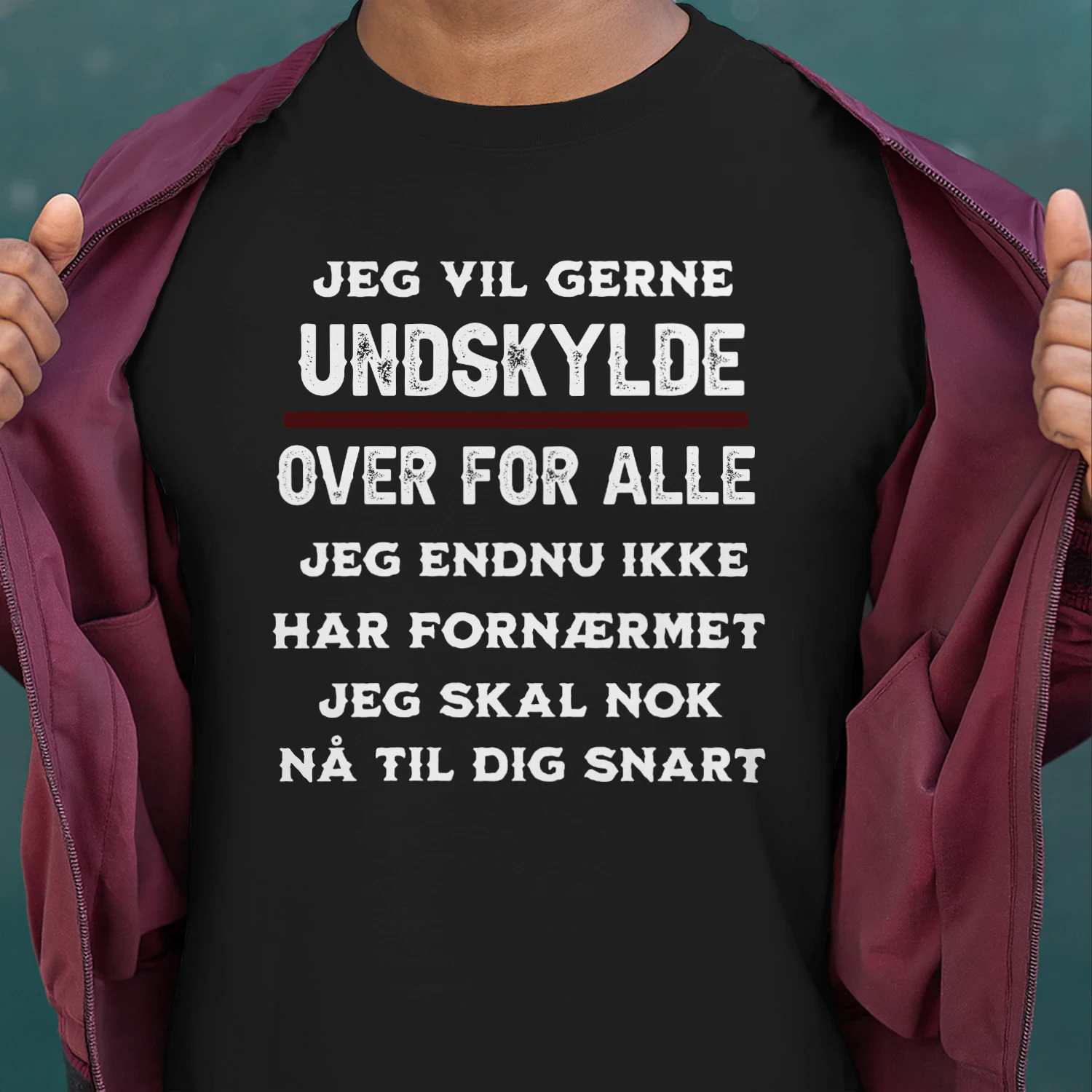JEG VIL GERNE UNDSKYLDE
